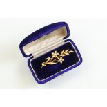 Edwardian pearl 15ct yellow gold spray brooch, graduated split seed pearls, hinged pin and loop