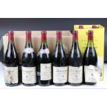 Wine - 1995 Denis Philibert Bourgogne Pinot Noir x 19 (19 bottles)