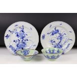 Pair of Japanese Porcelain Blue and White Plates decorated with flowers, 22cm diameter together with