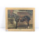 A Bernard Sykes (19th / Early 20th century) Oil on Canvas of a Tacked Up Bay Horse titled to mount '