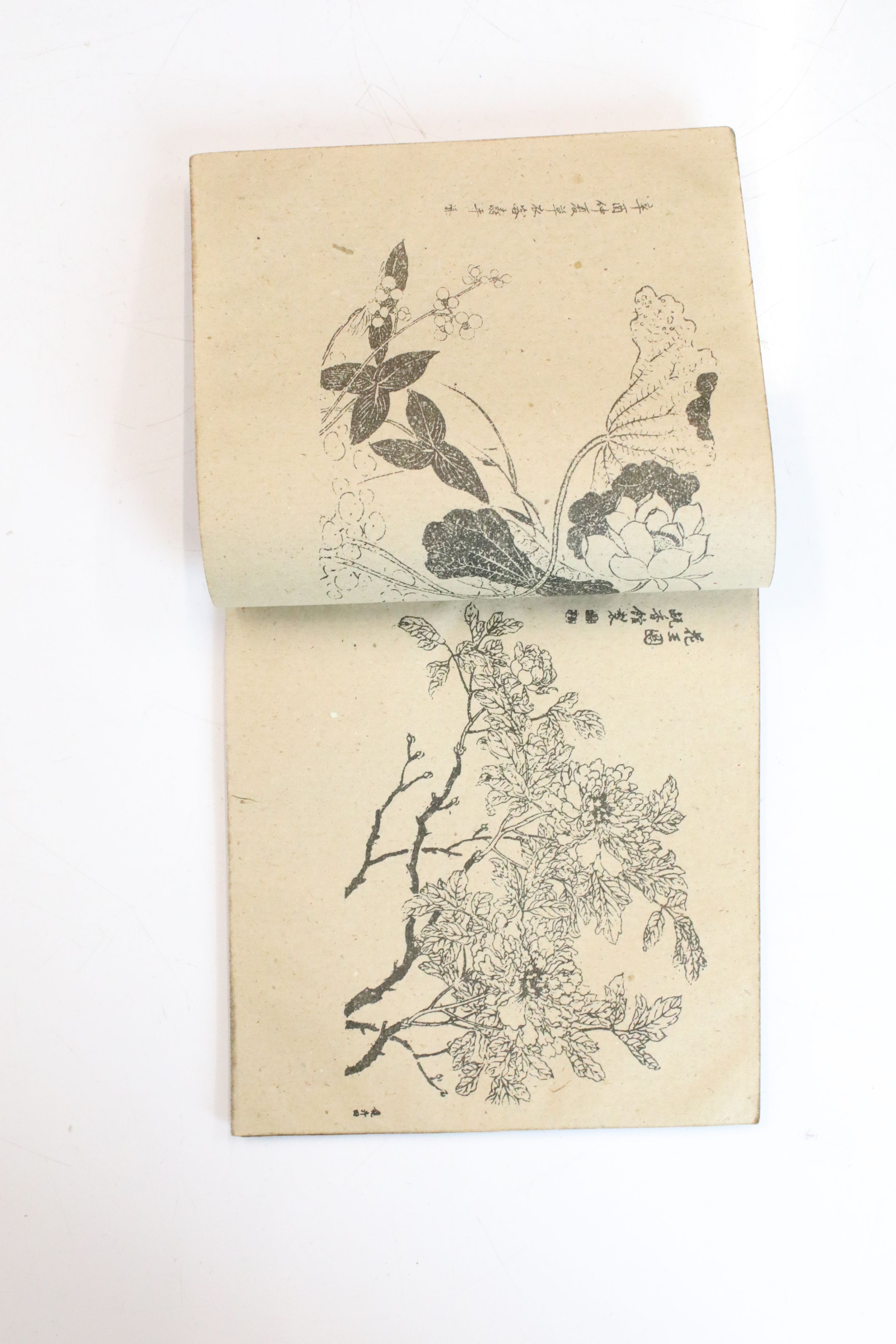 Three antique oriental books with illustrations and text, portraits, landscapes, fauna & - Image 6 of 9