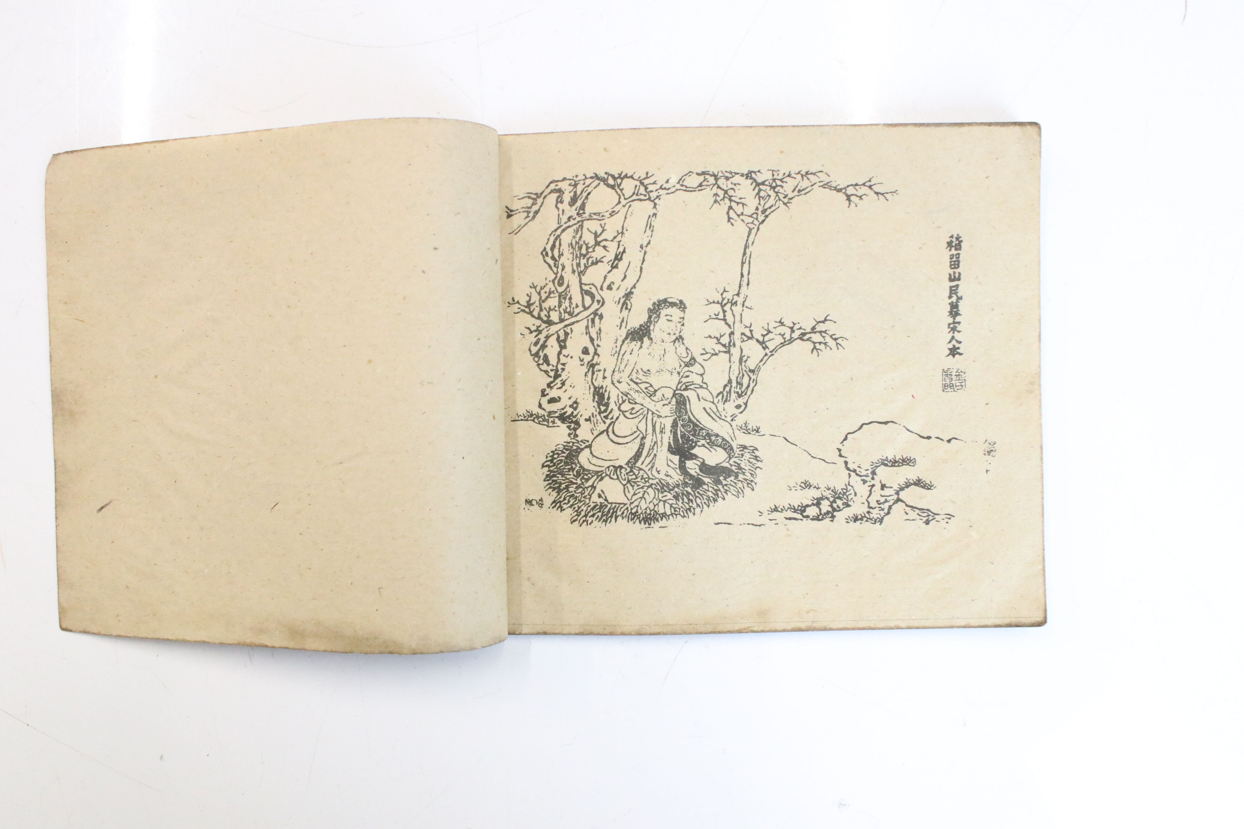 Three antique oriental books with illustrations and text, portraits, landscapes, fauna & - Image 2 of 9