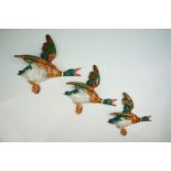 Set of three Beswick graduating flying ducks, models numbers 596-2, 596-3 and 596-4, the largest