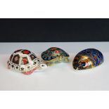 Three Royal Crown Derby paperweights to include Terrapin (gold stopper), Imari Tortoise (silver