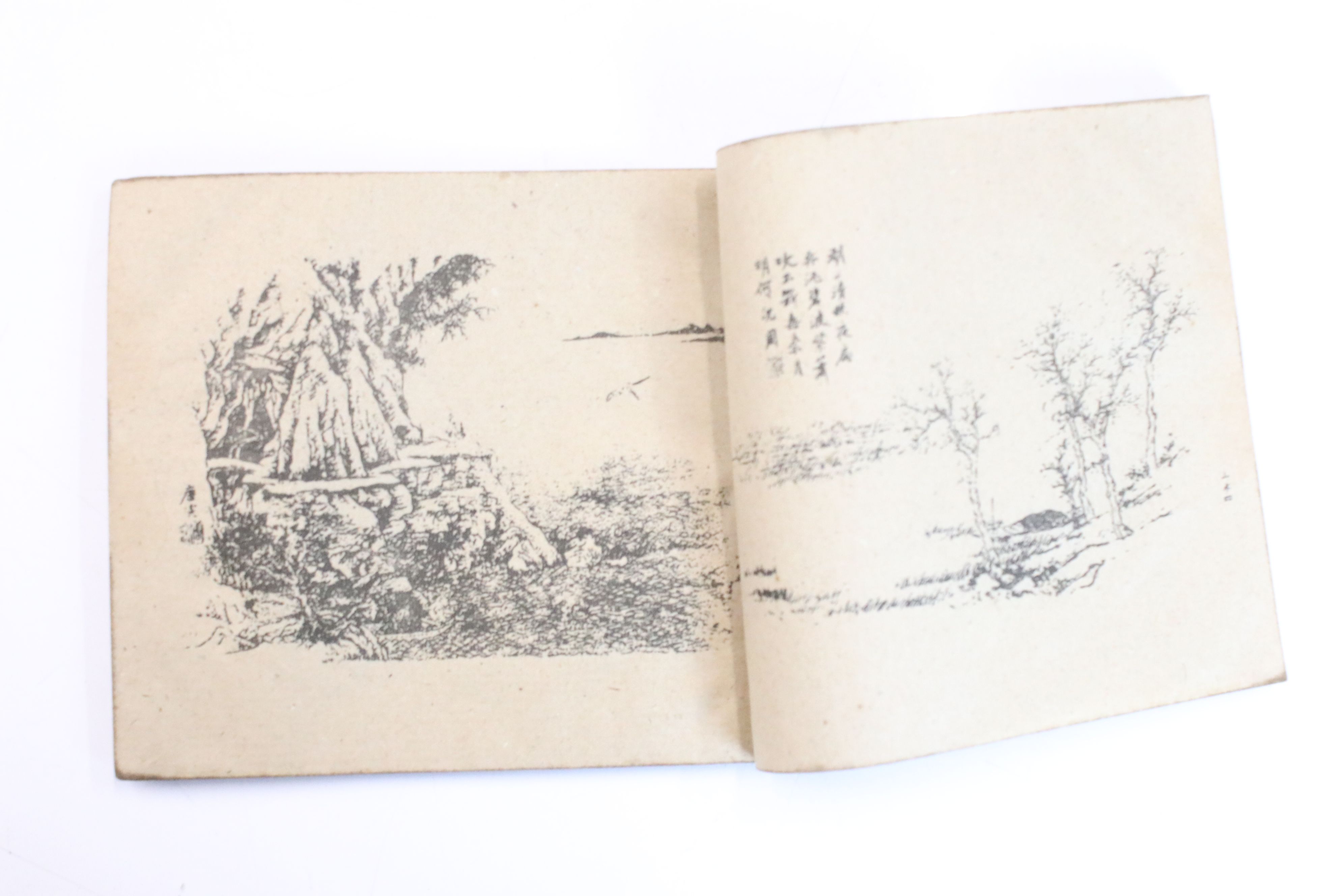 Three antique oriental books with illustrations and text, portraits, landscapes, fauna & - Image 5 of 9