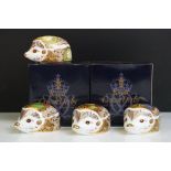 Four Royal Crown Derby Hedgehog paperweights to include Holly Hedgehog (boxed), Primrose Hedgehog (