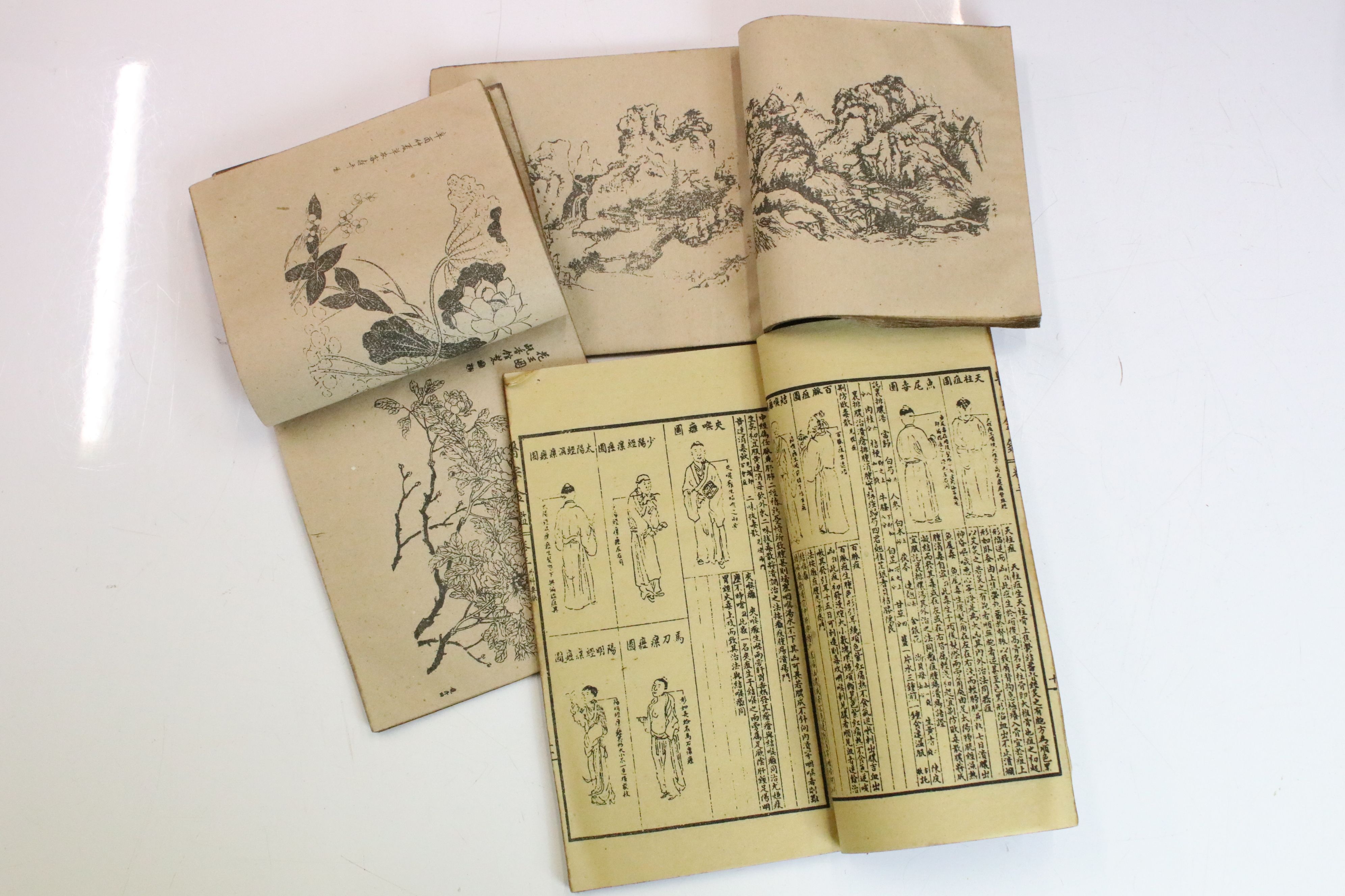 Three antique oriental books with illustrations and text, portraits, landscapes, fauna &