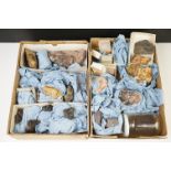 A collection of minerals all contained within individual boxes to include Carnelian, Barytes,