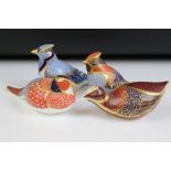 Four Royal Crown Derby bird paperweights to include Pheasant, Coot, Blue Jay and Waxwing (all with