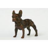 An ornamental bronze figure of a French bulldog, stands approx 6cm in height.