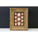 Eleven 19th century plaster Grand Tour intaglios, gilt framed & glazed. (largest intaglio approx 3cm