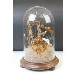 Victorian dried flower & moss display, housed within a glass dome with wooden based, raised on three