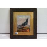 Oil on board study of a pigeon perched on a grassy mound