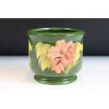 Moorcroft - Hibiscus pattern small vase of footed cylindrical form with a tube lined hibiscus flower