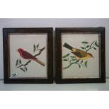 A pair of fine ornithological watercolour studies of a red headed finch and a yellow eyed warbler,