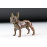 An ornamental bronze figure of a French bulldog, stands approx 6cm in height.