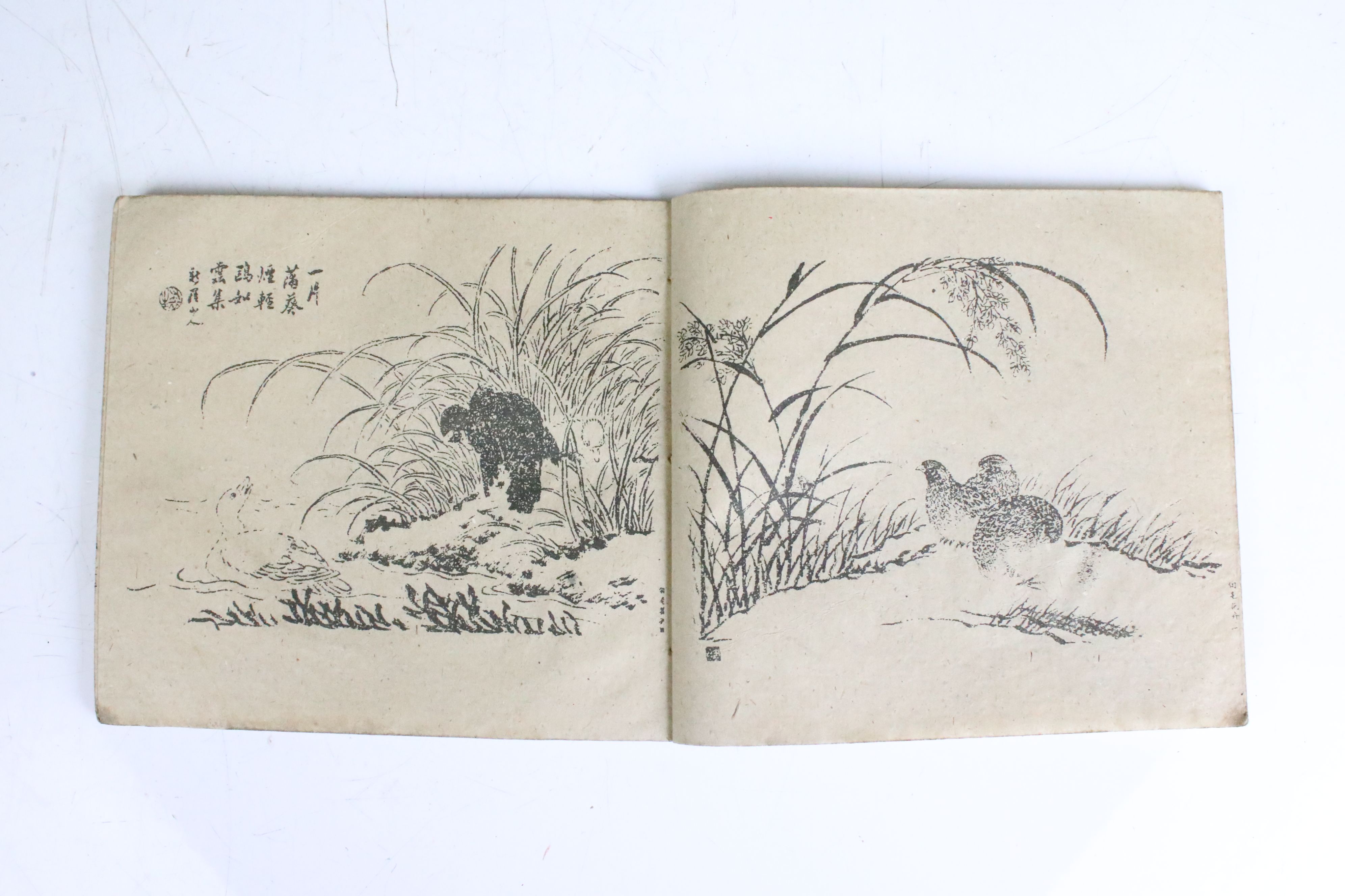 Two antique oriental books having numerous illustrations, portraits, anatomical and birds etc. - Image 5 of 7