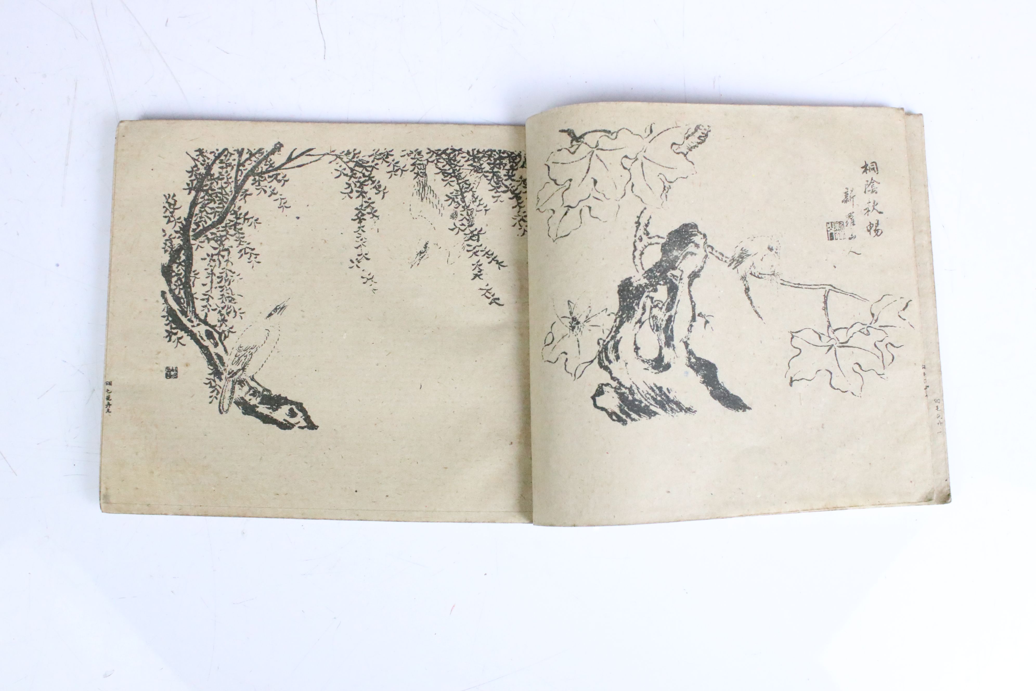 Two antique oriental books having numerous illustrations, portraits, anatomical and birds etc. - Image 6 of 7