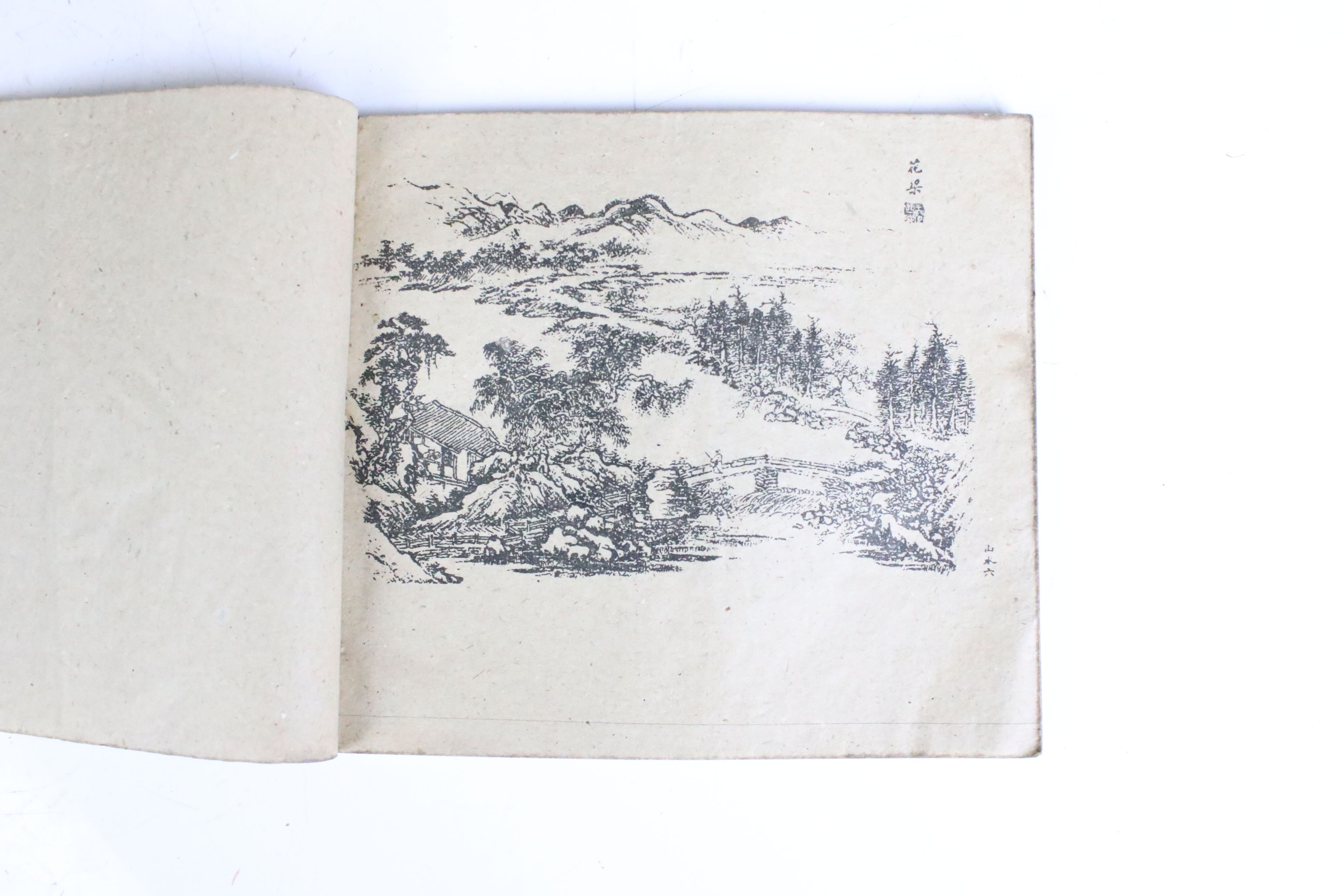Two antique oriental books having numerous illustrations, portraits, anatomical and birds etc. - Image 7 of 7