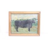 Oil painting of bull in a landscape, 27cm x 35cm, framed and glazed