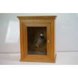 Taxidermy Red Partridge perched on a mossy log to base, set within a glass doored display cabinet.