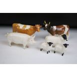 Group of Beswick ceramic animal figurines. The lot to include a pig, ram, two sheep and two cows.