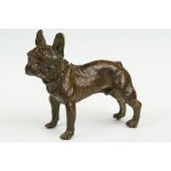 An ornamental bronze figure of a French bulldog, stands approx 6cm in height.