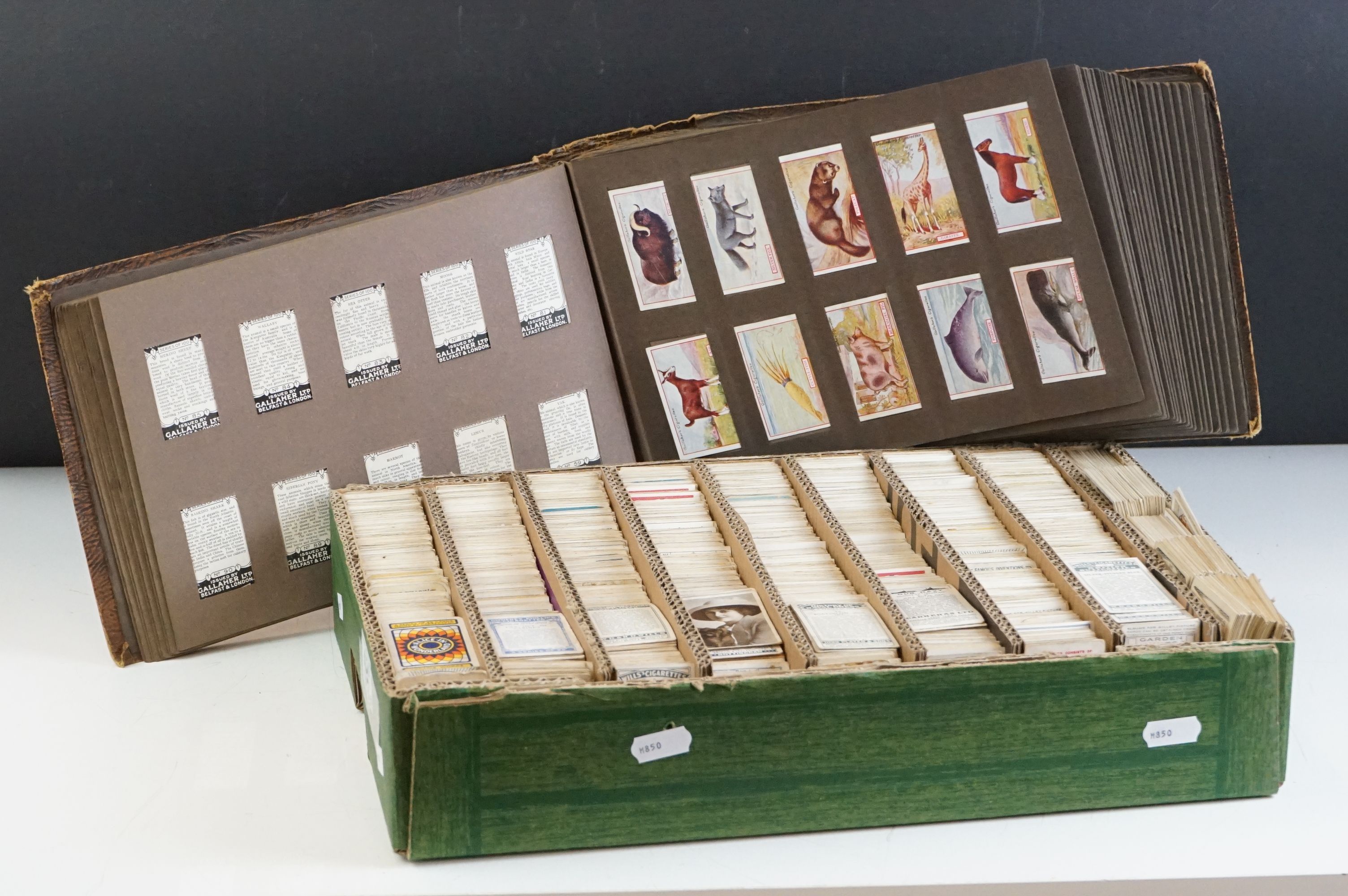 Collection of assorted cigarette cards to include one album and a tray of assorted cigarette