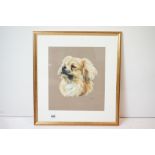 20th century framed pastoral study of rare breed Tibetan Spaniel, signed C.R.S, 35cm x 40cm