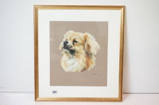 20th century framed pastoral study of rare breed Tibetan Spaniel, signed C.R.S, 35cm x 40cm