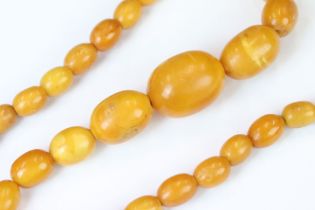 Butterscotch amber style necklace, thirty-three graduated beads, length approx 37cm