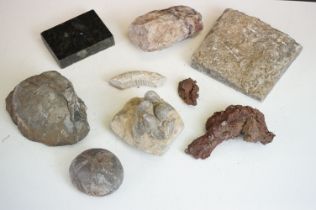 A small collection of fossils and minerals to include, a group of Gryphaea Arcuata (devil's