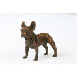 An ornamental bronze figure of a French bulldog, stands approx 6cm in height.