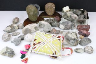 Collection of rock specimens to include fossils and minerals. Largest approx 11cm wide.