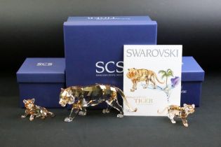 Three boxed Swarovski Crystal Society Tiger / Tiger Cub ornaments with certificates, to include '