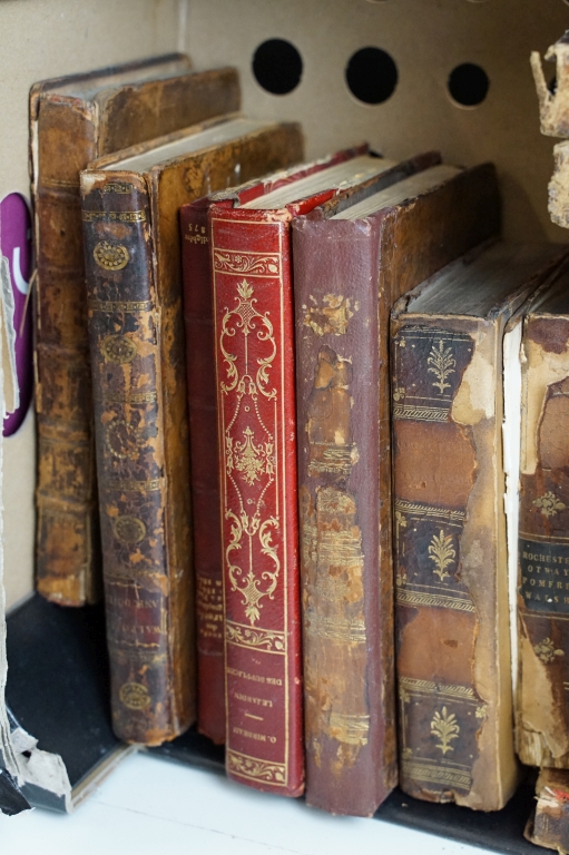 Antiquarian - Collection of 18th and 19th Century leather bound books to include Walpole's - Image 7 of 12
