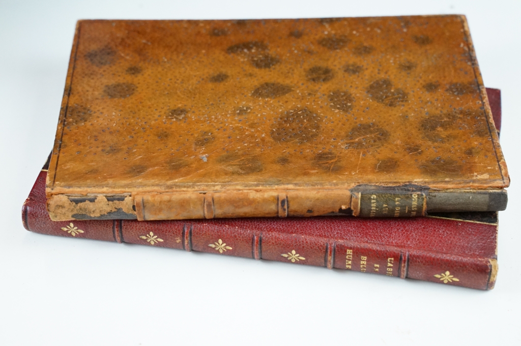 Antiquarian - Collection of 18th and 19th Century leather bound books to include Walpole's - Image 4 of 12