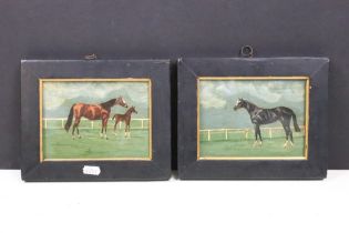 Pair of Oil Paintings of Horse at Stud ‘ Mare Snowberry & Colt Foal ‘ and ‘ Sun Chariot ‘, each 11 x