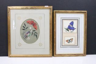 Two Framed 19th century Watercolour Collage Studies of Butterflies, one signed E. Lear, 17 x 13.5cm,