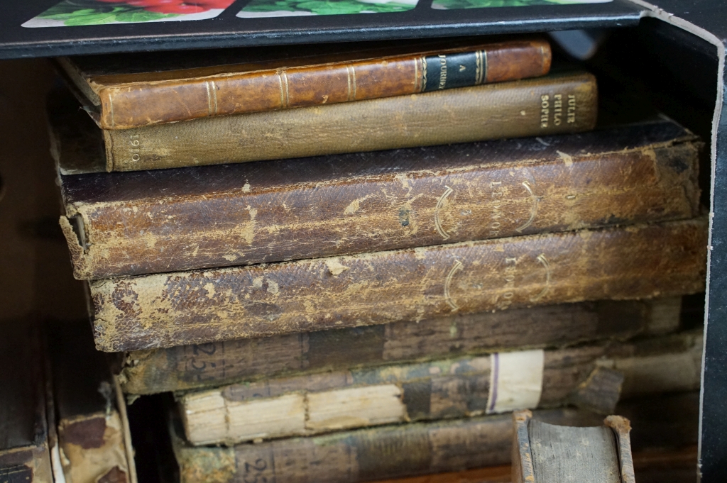 Antiquarian - Collection of 18th and 19th Century leather bound books to include Walpole's - Image 6 of 12
