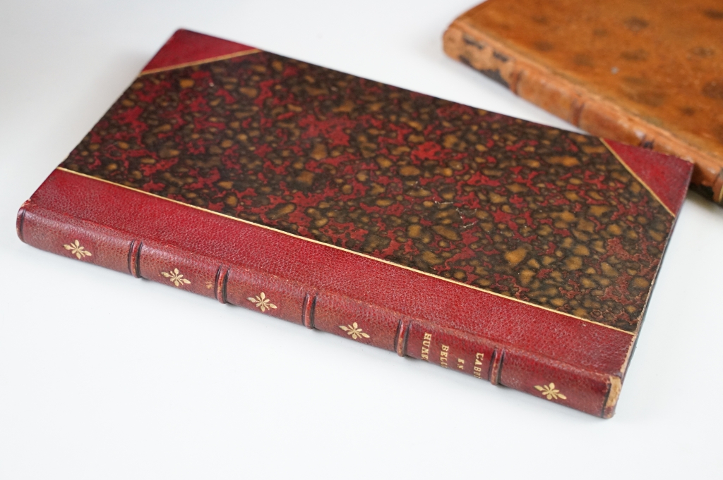 Antiquarian - Collection of 18th and 19th Century leather bound books to include Walpole's - Image 3 of 12