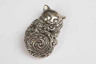 A small silver cat