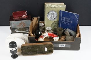 Collection of small Collectable items including Clam Shell, Bonsai Tree style Cased Ornament,