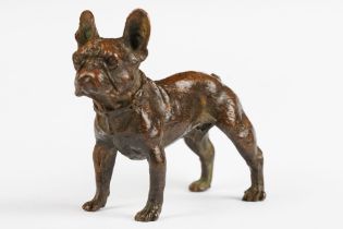 An ornamental bronze figure of a French bulldog, stands approx 6cm in height.