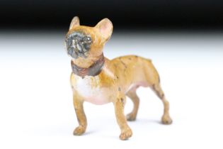 Cold Painted Bronze Dog