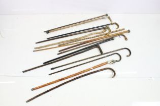Collection of wooden walking sticks to include seven with silver / white metal mounts, featuring