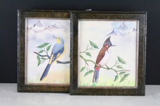 Pair of ornithological watercolours of exotic birds in mountain scenery, inscribed verso Bulbul Bird