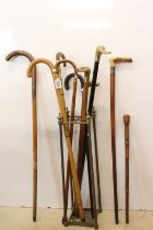 Collection of nine wooden walking sticks, 19th century onwards, featuring a late 19th century horn-