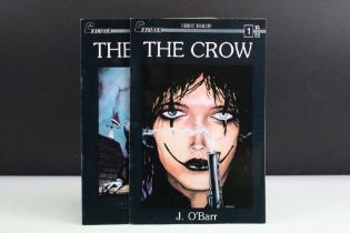 Comics - The Crow, Volume 1, Issues 1 and 2 , Caliber Press