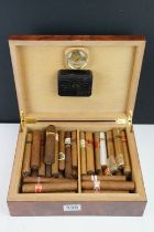 A collection of mixed cigars to include cuban examples contained within a humidor.